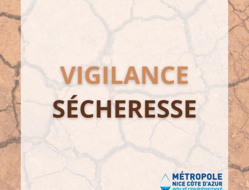 Depuis le 1er juin, les Alpes-Maritimes sont placées en vigilance sécheresse.